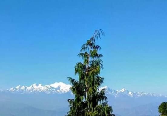 The Mountain View Lejlighed Darjeeling  Eksteriør billede