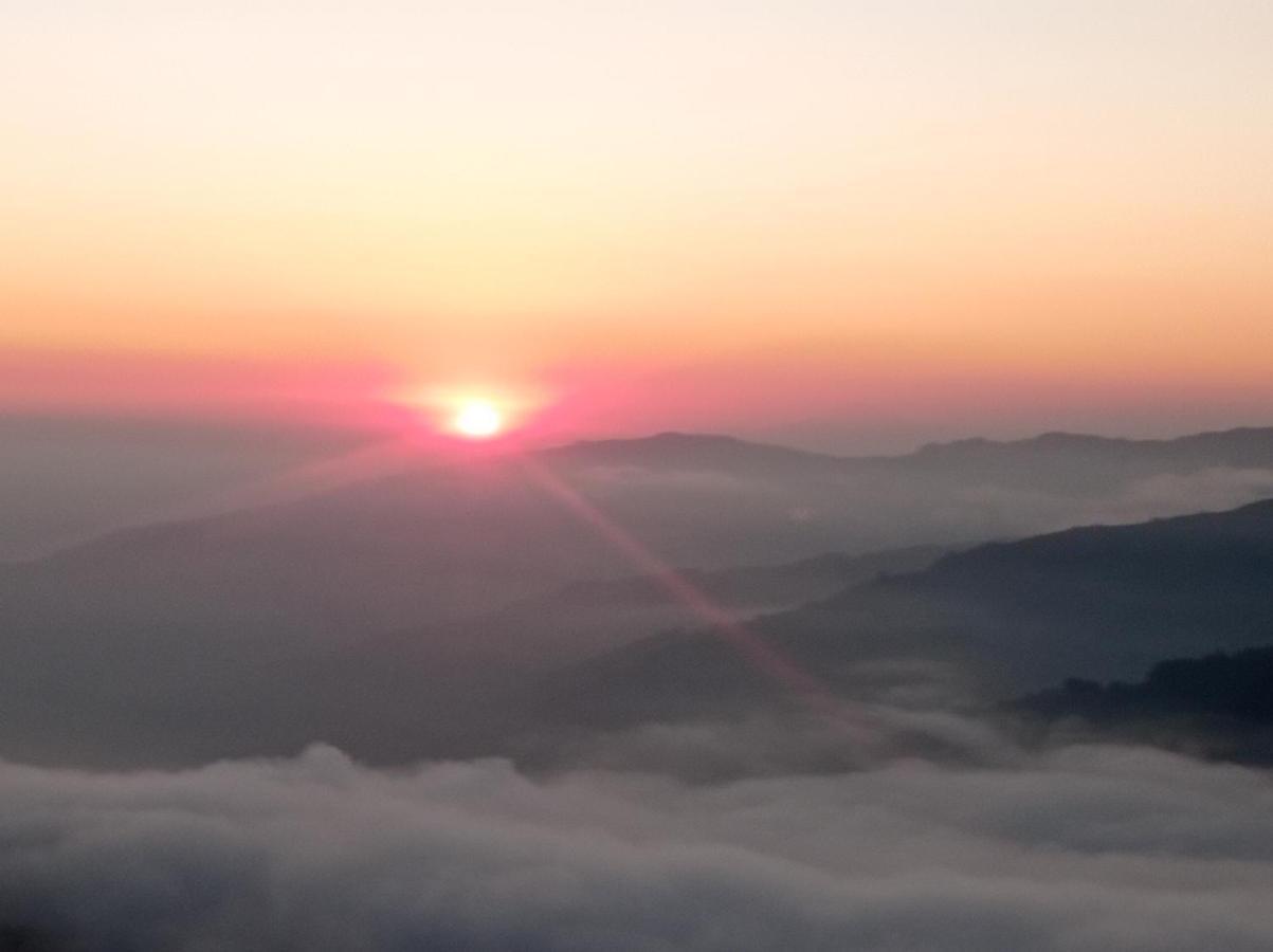 The Mountain View Lejlighed Darjeeling  Eksteriør billede